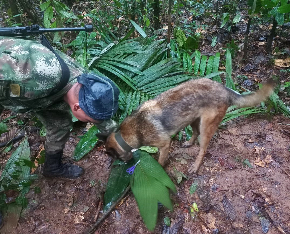 B´usqueda de nños desaparecidos avioneta colombia