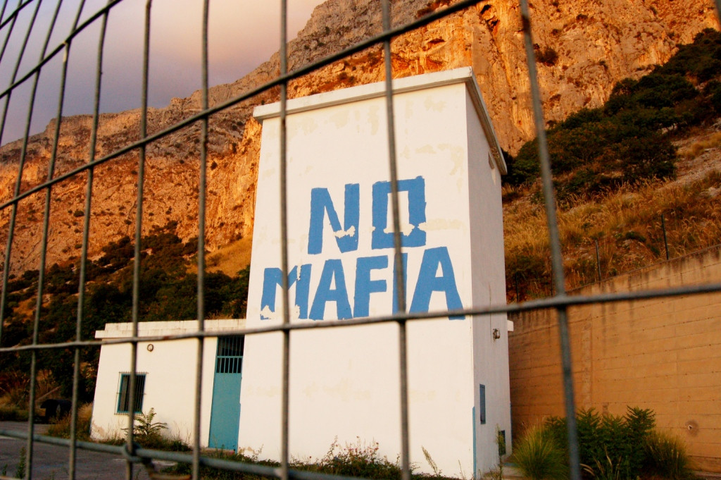 No mafia (242388997)