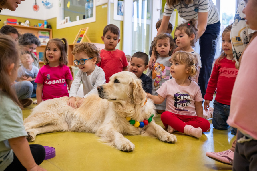 Las perritas Nata y Uva visitan a los niños de las escuelas infantiles públicas de Oleiros