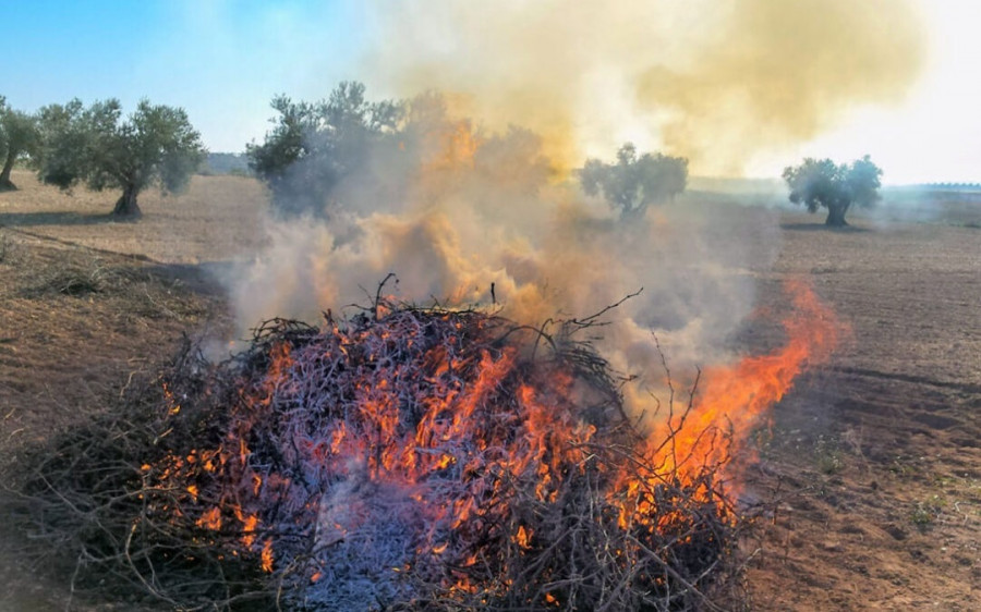 Galicia prohíbe desde este viernes las quemas agrícolas y forestales