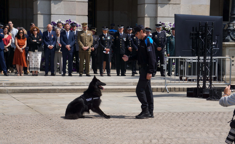 La Policía Local celebra su Día con una exhibición de drones y de su perro, Bico