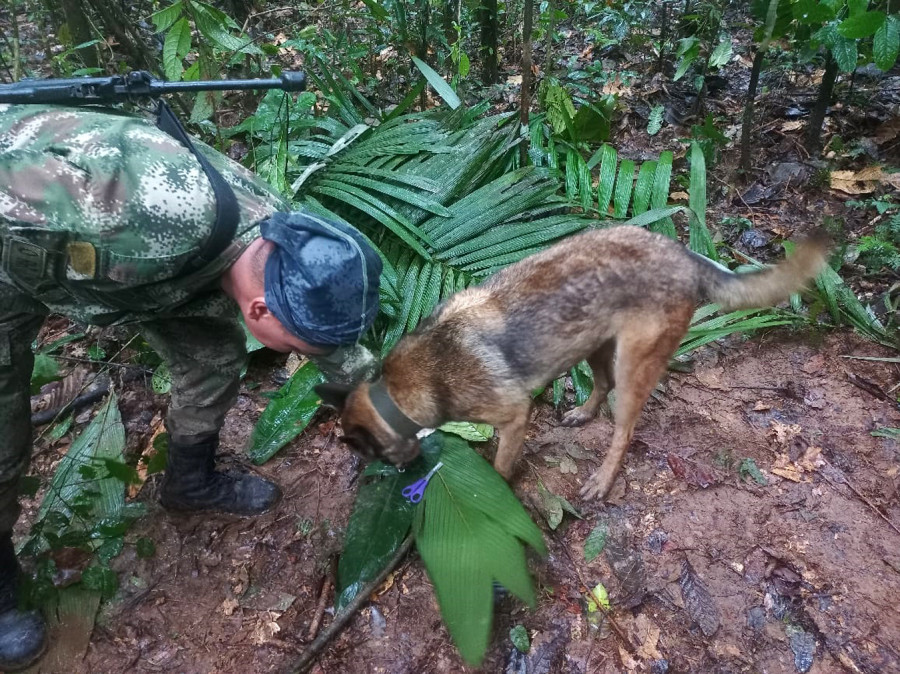 Un mes buscando a cuatro niños perdidos en la selva colombiana: "Estamos cerca"