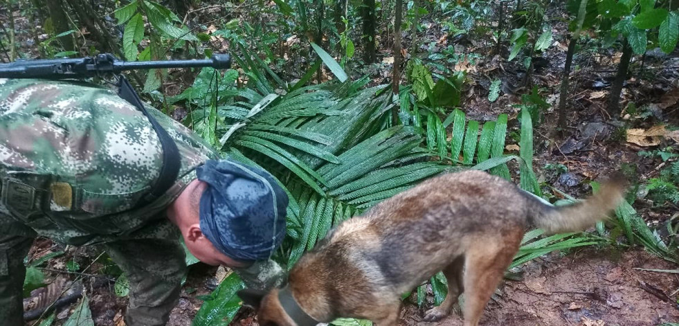 Un mes buscando a cuatro niños perdidos en la selva colombiana: 