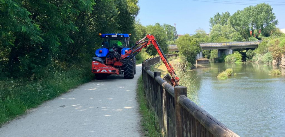 Cambre inicia los trabajos de desbroce en el río Mero, una de sus zonas de paseo más concurridas