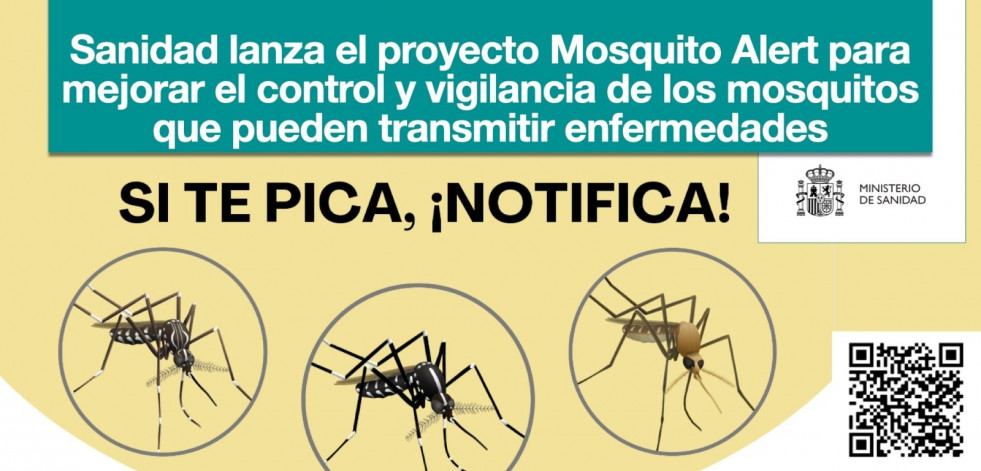 'Si te pica, ¡notifica!', la nueva aplicación de Sanidad para vigilar los mosquitos