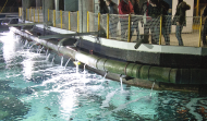 Vuelve la actividad 'A trastenda do Aquarium' para conocer el museo coruñés