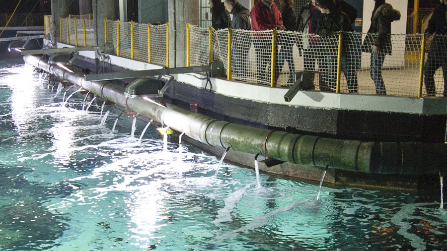 Vuelve la actividad 'A trastenda do Aquarium' para conocer el museo coruñés