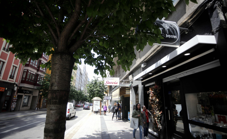 Los vecinos de la avenida de Oza, ‘mosca’ con los insectos de la zona