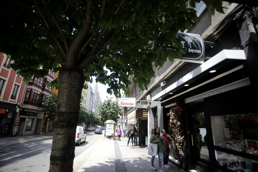 Los vecinos de la avenida de Oza, ‘mosca’ con los insectos de la zona