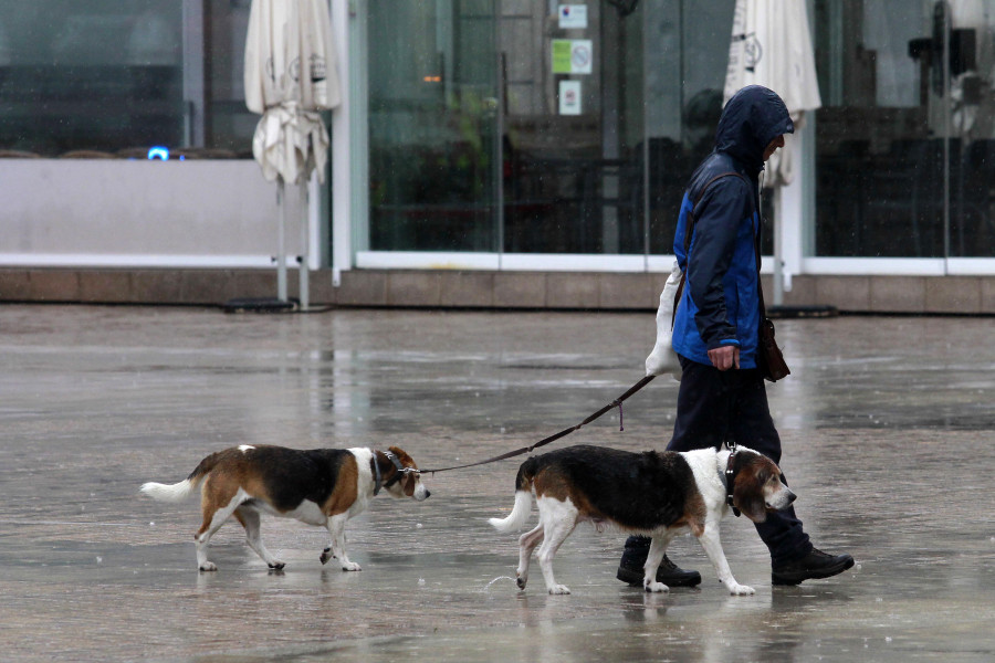 Las denuncias por ataques de perros se disparan en un solo año en A Coruña