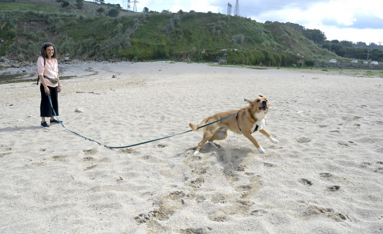 Comienza la temporada de playa en Bens sin acondicionarla para los perros