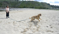 Comienza la temporada de playa en Bens sin acondicionarla para los perros
