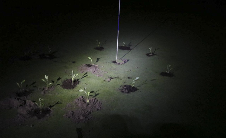 Activistas climáticos tapan con cemento hoyos de golf para denunciar el gasto de agua