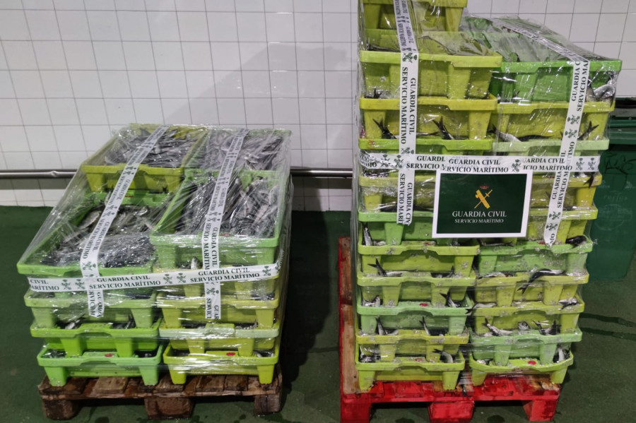 La Guardia Civil incauta 796 kilos de sardina en Sada