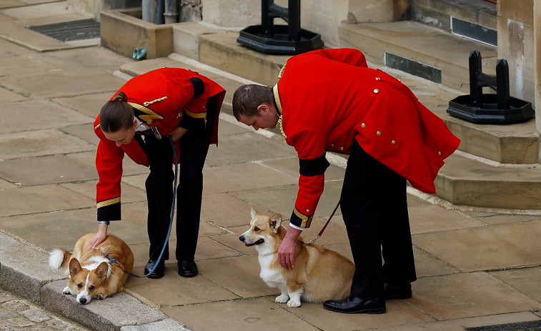 Los corgis de Isabel II no están contentos porque Sarah Ferguson no los saca a pasear