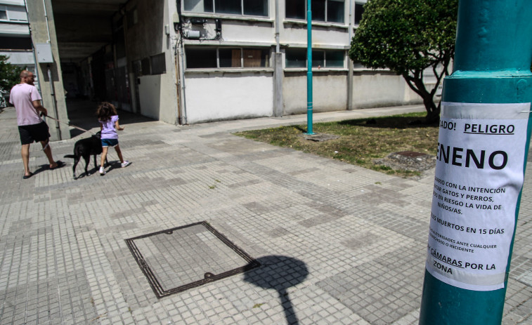 Un envenenador de gatos se cobra siete víctimas en el Barrio de las Flores de A Coruña