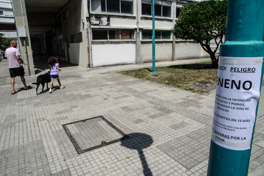 Un envenenador de gatos se cobra siete víctimas en el Barrio de las Flores de A Coruña