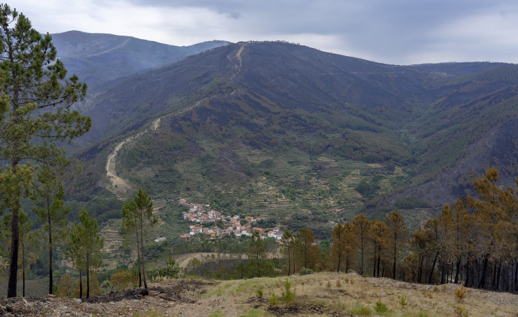 España es el segundo “bosque” más grande de Europa, pero cada vez se vuelve más árido