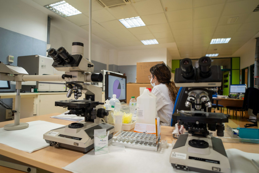 España es “el país más avanzado” en  la eliminación de  la hepatitis C en los últimos años