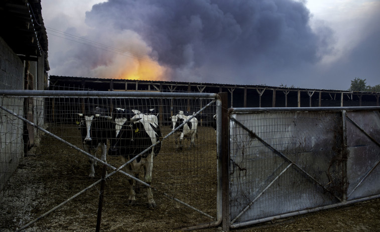 Grecia sigue luchando contra los grandes incendios en todo su territorio