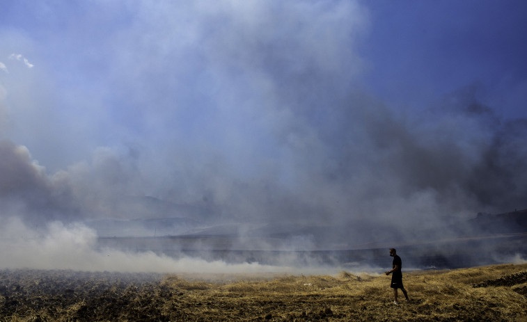 Los bomberos logran contener los principales fuegos forestales en Grecia