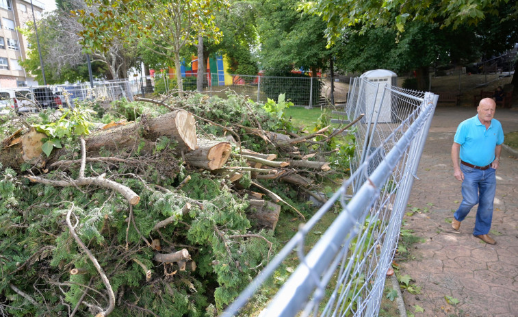La reforma del parque Ramón Barba, O Temple, obliga a talar 15 árboles
