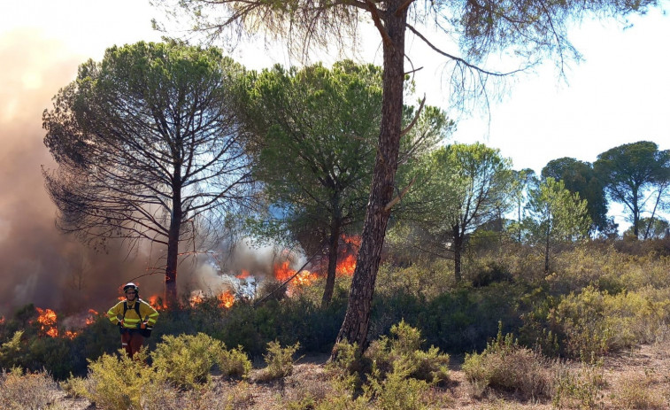 Estabilizan el fuego de Bonares y los desalojados vuelven a casa