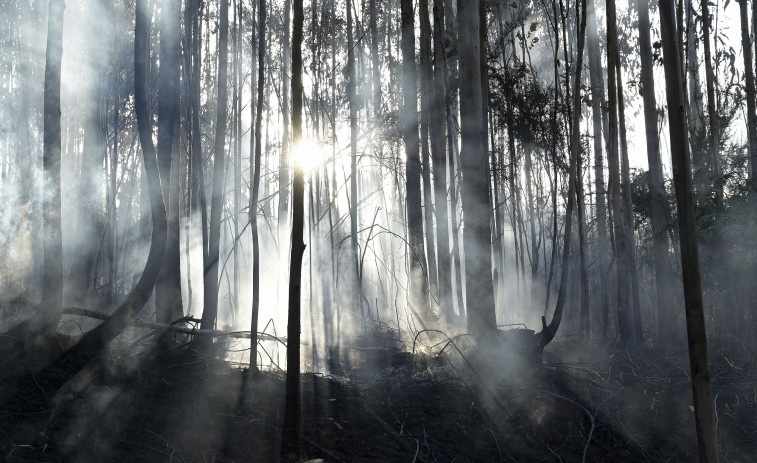 Extinguido el incendio de Suevos, que calcinó algo más de 25 hectáreas