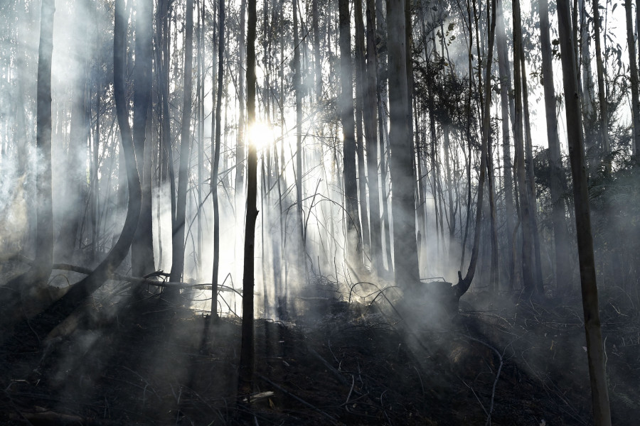 Sigue controlado el incendio de Arteixo, cuyo origen podría estar en otro anterior