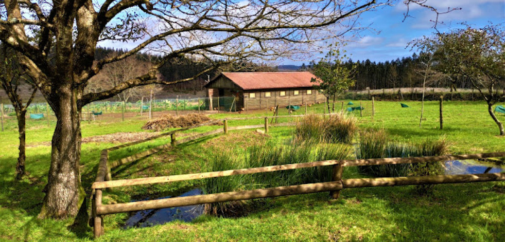 Raíña Paraíso, un proyecto solidario en un finca idílica