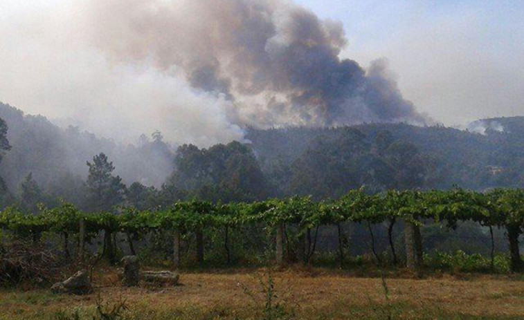 Dos aviones y dos helicópteros actúan en un incendio en Arbo