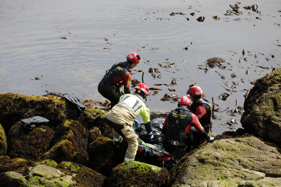 Los Bomberos rescatan el cadáver de un delfín de las rocas al pie del Millennium