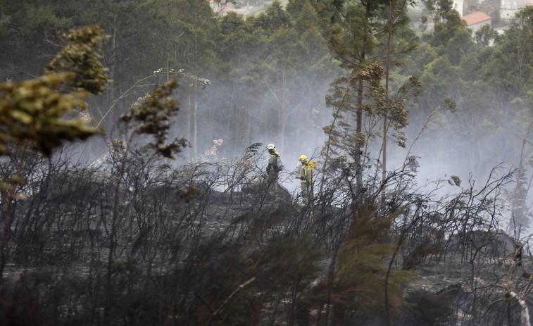 Un incendio calcina más de 20 hectáreas en A Cañiza