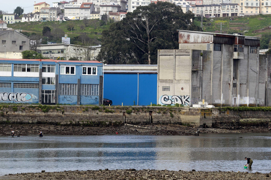 Los furtivos regresan a la ría de O Burgo debido al precio al alza del marisco