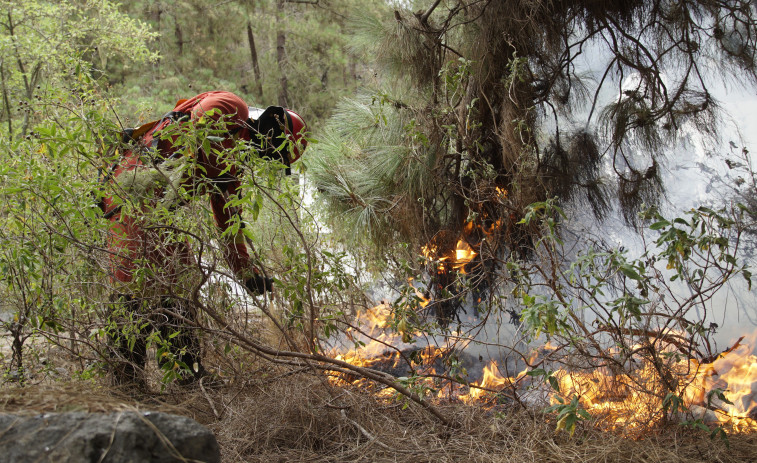 El fuego de Tenerife da una tregua en el sur y sigue en el norte