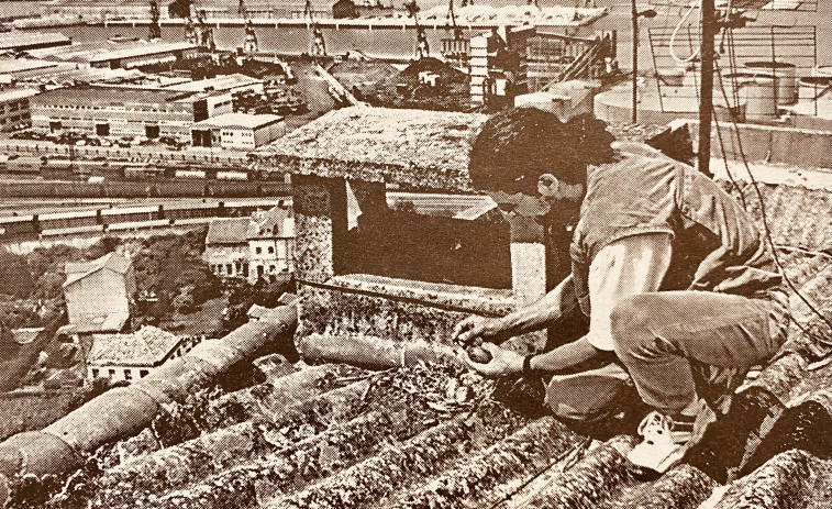 Hace 25 años | Plan contra las gaviotas y reforma del edificio de Marina Civil