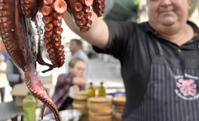 La Ciudad Vieja de A Coruña apostará por un Rosario con mayor peso de la oferta gastronómica