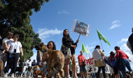 Dueños de mascotas se concentran en el Paseo Marítimo coruñés para reclamar acceso a las playas para los animales