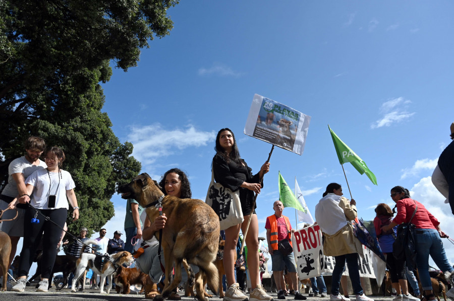 Dueños de mascotas se concentran en el Paseo Marítimo coruñés para reclamar acceso a las playas para los animales