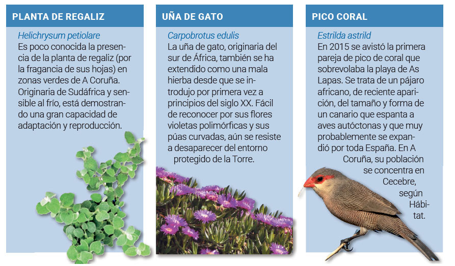 Especies invasoras2