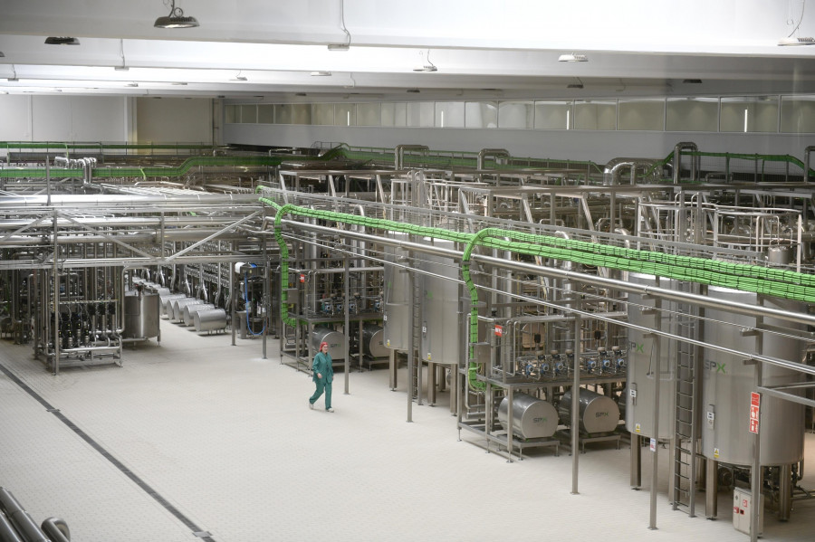 La comarca coruñesa creó más de 170 empresas en lo que va de 2023