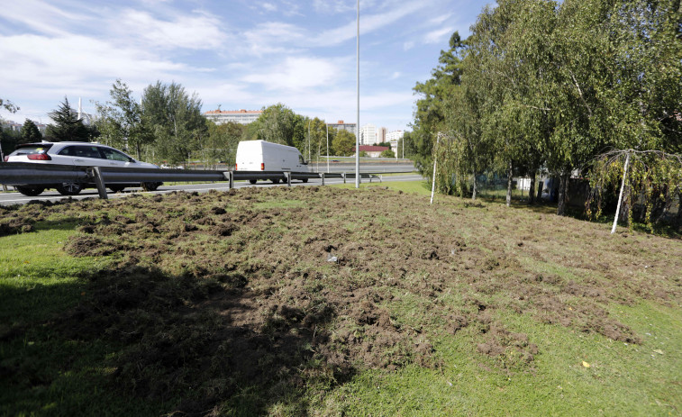 Inés Rey asegura que la presencia de jabalíes en A Coruña tiene las horas contadas