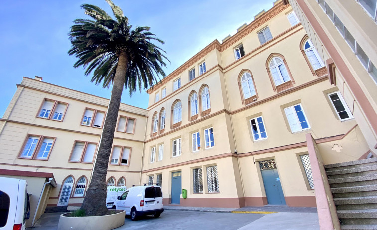 El picudo rojo obliga a talar las palmeras de Compañía de María en A Coruña