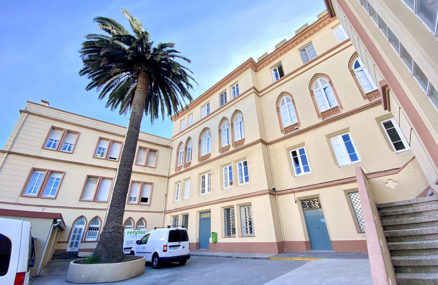 El picudo rojo obliga a talar las palmeras de Compañía de María en A Coruña
