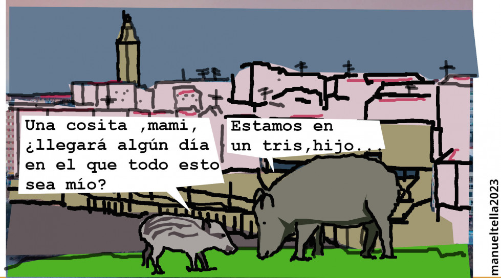 VIÑETA