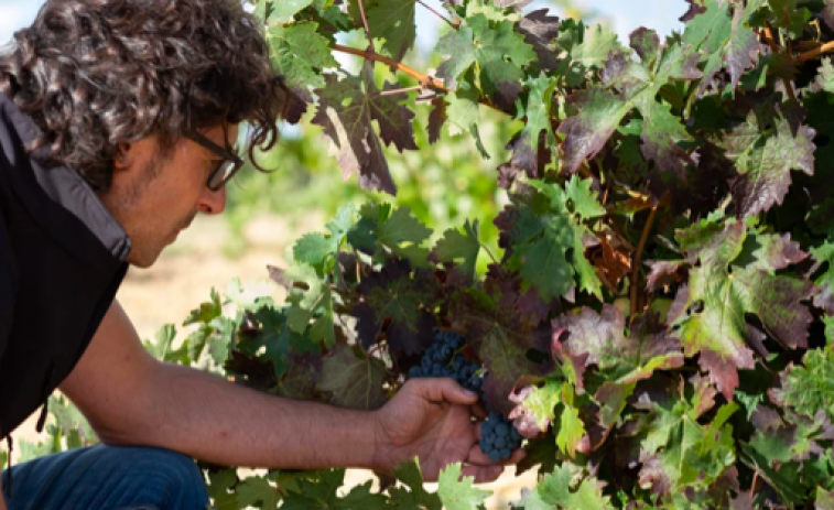 Bodega Viñas del Cénit presenta Field Blend: consulta aquí el especial Gastro Ideal