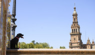 Segovia y Sevilla, en la lista de las 30 localizaciones que inspiraron películas de Disney