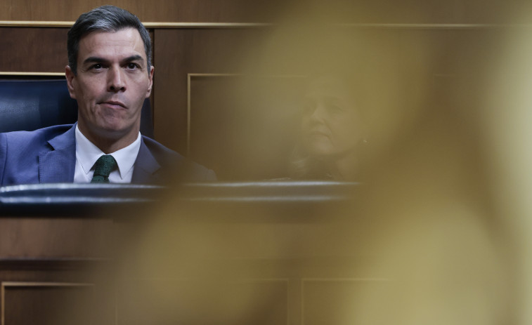 Las ONG feministas piden a Pedro Sánchez 