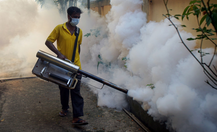 Casi 950 muertos por dengue en Bangladesh mientras la epidemia se extiende al campo