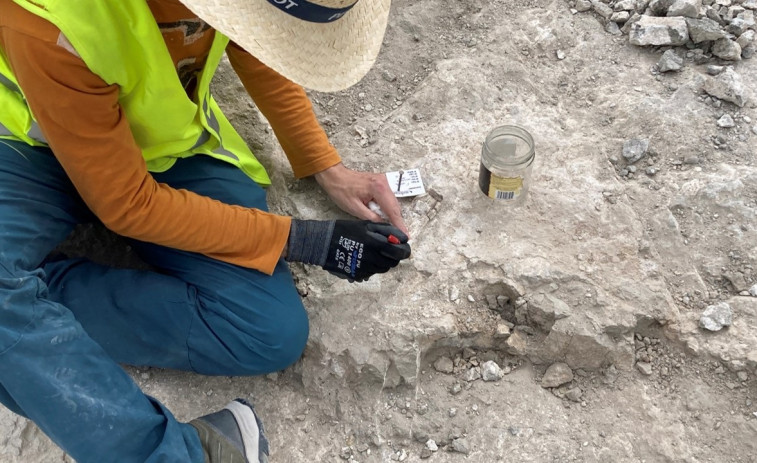 Hallan restos de elefantes primitivos de hace 14 millones de años en Madrid